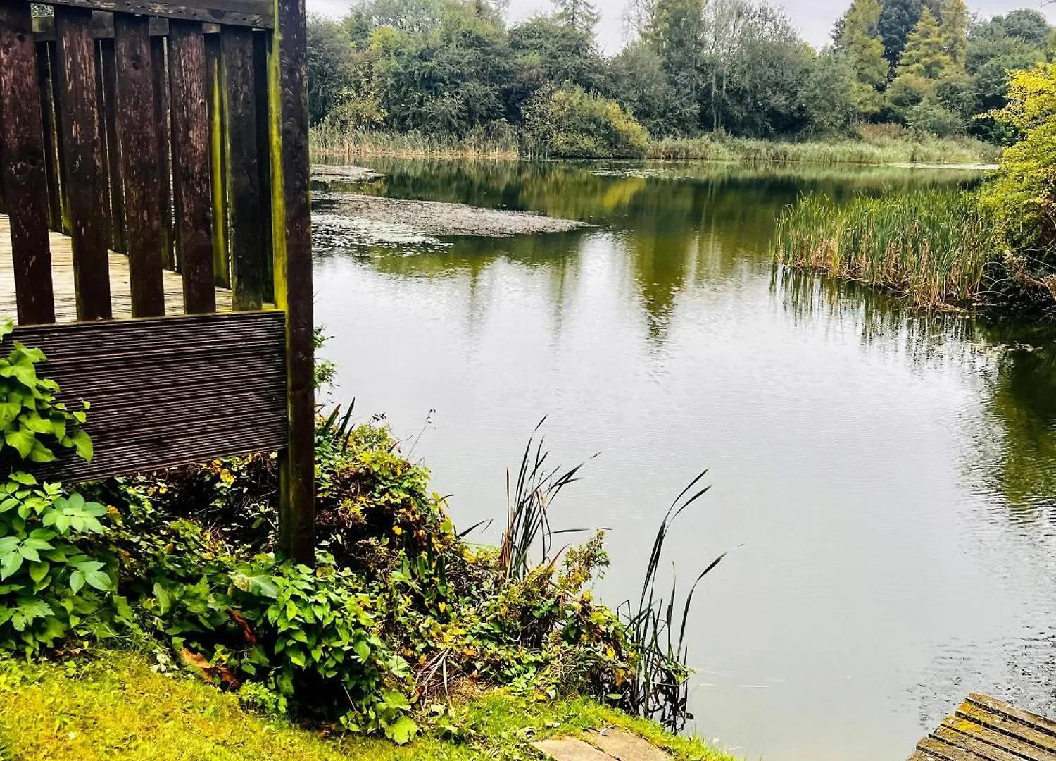 בקתה Allerthorpe 'Mallard' Secluded Fishermans Lodge